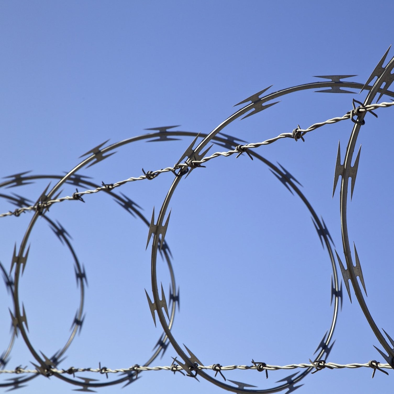 Heavy Duty Concertina Razor Wire (8m coil) | Britannia Retail ...